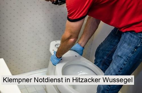 Klempner Notdienst in Hitzacker Wussegel